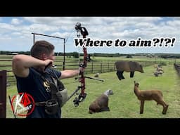 3D Archery Challenge – Find the Spot, Make the Shot!