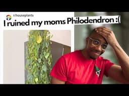Exposing the worst plant advice on reddit