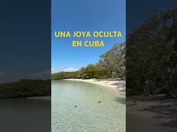 Ciénaga de Zapata Parte 2 #cuba #cubahoy