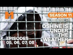 Oshine Is Not Feeling Well in Monkey Life | S11 E05, 06, 07 & 08 | Full Episodes