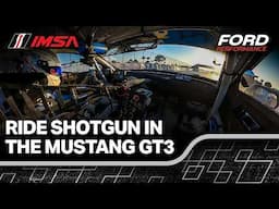 Every Mustang Lap Time at Sebring Compared! | 360 Video | Ride Shotgun with Ford Performance Drivers