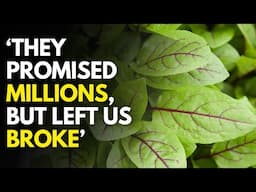 Another Cruel Farming Scam! How Innocent Nyeri Farmers Fell for the Remex Trap