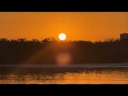 Robb‘e Sunday Sunrise Beach Walk at Wiggins Pass in North Naples, Florida | April 27, 2025