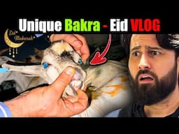 Bakra 🐐 Eid Prep & Cooking 2025: The REAL Behind-the-Scenes! #BakraEid #Qurbani