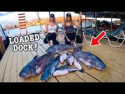The CRAZIEST DOCK FISHING EVER Big Fish after Big FISH!!! (Non-Stop-Action!!)