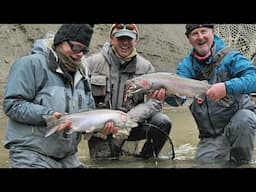 Early Season Steelhead