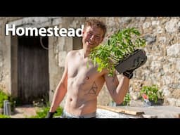 Building a Homestead in Rural France, Our Massive Vegetable Garden