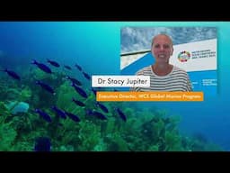 Saving Our Oceans: WCS Marine Executive Director Dr. Stacy Jupiter at the Third UN Oceans Conference