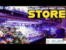 FLYING TO SWITZERLAND TO VISIT THIS SPECIAL FISH STORE