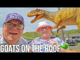 Goats On The Roof / Goat Coaster / Jurassic Tymes Golf / What did We Think? Pigeon Forge 2025
