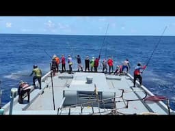 The one-fish-at-a-time pole and line method is an age-old way of fishing.🎣