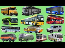 Learn Names of Means of Transport - Ambulance Bus, Travel Bus, Police Bus - Bus Vehicles Collections
