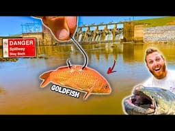 Fishing for Spillway MONSTERS w/ UNUSUAL Bait!! (HUGE Unexpected Fish)