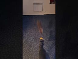 Hotel Guests at 1am