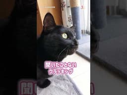 へたっぴクラッキング #猫
