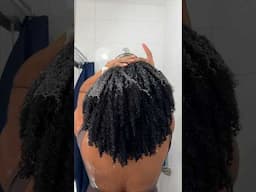 ASMR 4a 4b Hair Washday #asmr #asmrsounds #washday