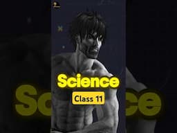 Class 11 strategy🔥 #cbse #class11 #science #study #padhle