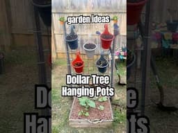 Dollar Tree hanging pots for starting an herb garden! #shorts #planterpots #gardenideas #dollartree
