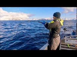 THE LAND OF MONSTERS!!! HUGE SKREI COD and HALIBUT!!! - Big Fish Adventure | The Fish Locker