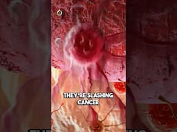 What if the cure for cancer already exists—but we've been too slow to find it?