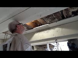 You will not believe where the queen bee was hiding.