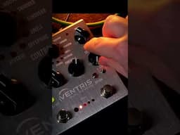 Ambient Powerhouse! @sourceaudioeffects Ventris #reverb #effects #guitar #thepedalzone #awesome