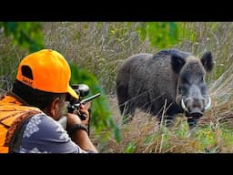 GIANT MONSTER BOAR ATTACK: Epic Hunts & Unbelievable Shots!