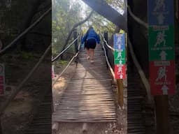 Another day another hike 🤭 #hikingadventures #hiking #youtubecreatorcommunity