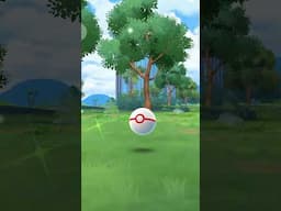 Shiny Shadow Regice Encountrer/Le rencontre de l'ombre Regice Shiny!