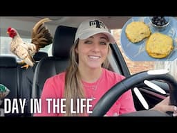 A DAY IN MY CHAOTIC LIFE | WHAT I EAT, TAKING CARE OF ANIMALS. BEING A CONTENT CREATOR