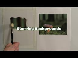 Quick Tip 531 - Blurring Backgrounds