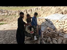 Nomadic Life 🌿 Gathering Firewood & Medicinal Herbs🌱 | A Day of Work, Healing & Connection to Nature