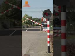 Dutch Railroad Crossing