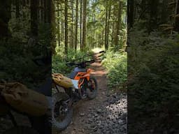 KTM 390 Enduro R Off Road First Impressions #390enduro