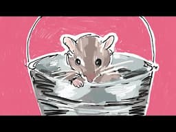 You Are Into Mousetrap YouTube