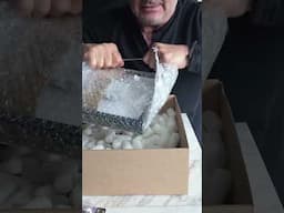 🎁 Abriendo el regalo del Día del Padre… bueno, intentando, porque los paquetes claramente no son lo