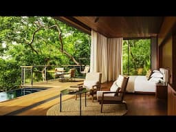 Organic Home Trends 2025: Blending Rustic Modern Interiors with Jungle House Decor
