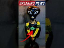 Grey Aliens యొక్క రహస్యం ఇదేనా?
