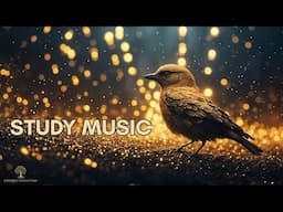 Calming ADHD Music for Work & Focus | Study Music