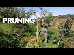 Step 3: Pruning Basics (gold for the soil)