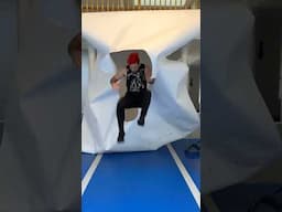Shape challenge FAILS 🤣