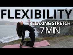 FLEXIBILITY ROUTINE FOR RELAXATION & A CALM NERVOUS SYSTEM