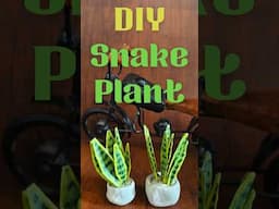 DIY Snake Plant Craft 🌿 | Clay Pot + Tape Leaf Art #shorts #craftideas