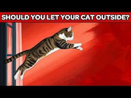 Should You Let Your Cat Outside?