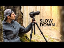 Macro Medicine: The Healing Power of Photography