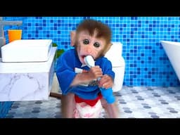 Baby monkey Chu Chu eats rainbow jelly and plays with ducklings in the bathroom