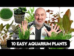 My TOP 10 Easy AQUARIUM PLANTS | NO CO2 Required