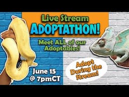 Adoptothon 6/15/25