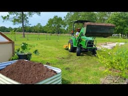 Growing Our Own Food To Be More Self Sufficient And Live Off The Land On A Low Income