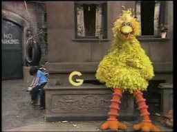 Classic Sesame Street - Big Bird Letter G 1973